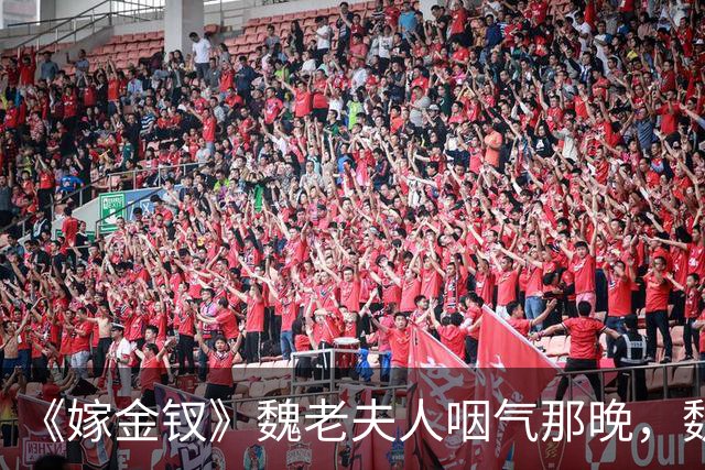《嫁金钗》魏老夫人咽气那晚，魏娆才看懂，元嘉帝布了半生的局
