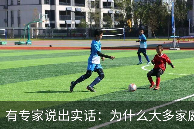 有专家说出实话：为什么大多家庭后悔买新能源汽车？原因很现实