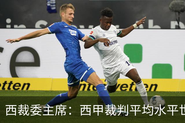西裁委主席：西甲裁判平均水平世界最佳，误判过去现在未来都会有